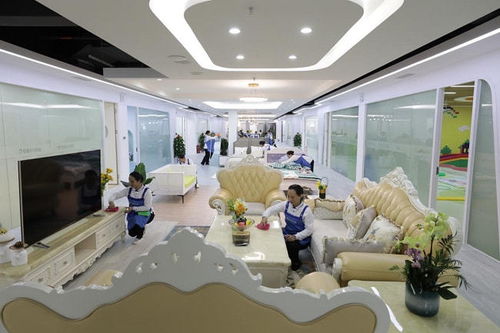 輕喜到家爆單現象揭示女性居家新需求