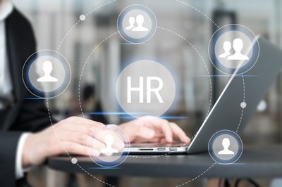 人力資源管理全攻略 從策略到實踐，打造高效能組織